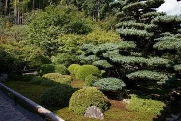 The temple's gardens are well kept and very beautiful. (Photo: <a href="http://www.flickr.com/photos/satorinihon/8077810580/" target="_blank" rel="noreferrer noopener nofollow">Christian Kaden</a>)