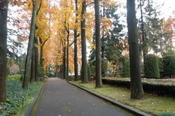 Tochigi Central Park