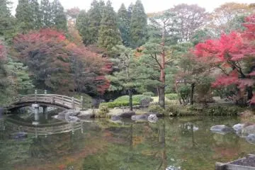 Japanese bridge (Photo: S.C.Kurokawa)