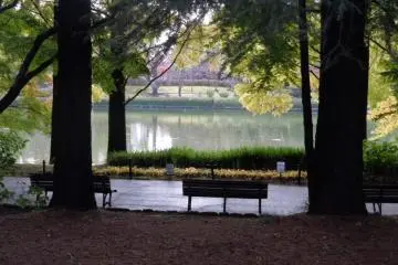 Large pond framed by trees (Photo: S. C. Kurokawa)