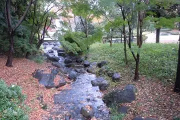 Kids and adults alike can enjoy crossing creeks stepping from stone to stone (Photo: S.C.Kurokawa)