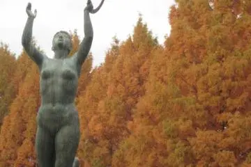 Central Park in November (Photo: S.C.Kurokawa)