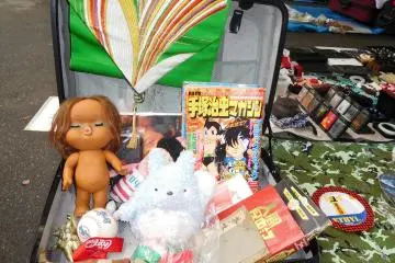 Ohi Flea Market in Tokyo