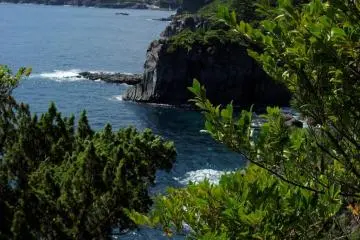 Jogasaki Coastline