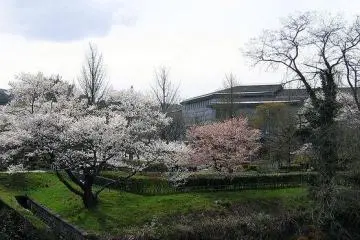 The landscape around the center comes alive during the spring. (Photo: <a href="http://www.flickr.com/photos/ehnmark/10599120/" target="_blank" rel="noreferrer noopener nofollow">Jacob Ehnmark</a>)