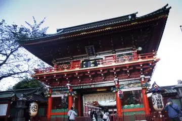 Gallery image