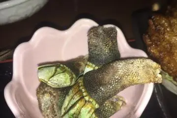 Странная и вкусная еда на Якусиме