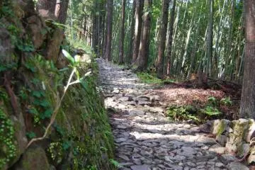 Kumano Kodo-The “Way of St. James” of Japan