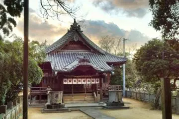 Gallery image