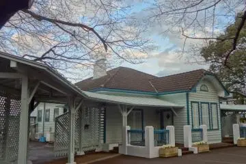 Gallery image