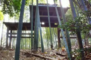 Bamboo Forest Trail to Ishite-ji