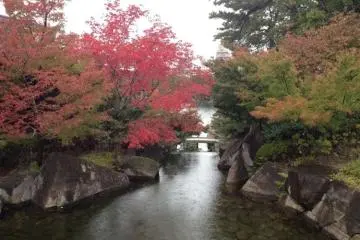 The beauty of Japanese garden design at Tokugawa-En (Photo: PPF)
