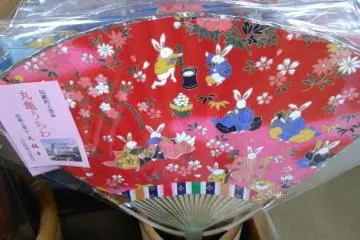 Fancy A Fan?