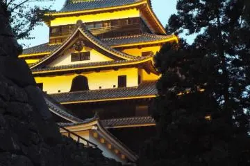 Gallery image