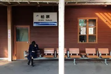 Gallery image