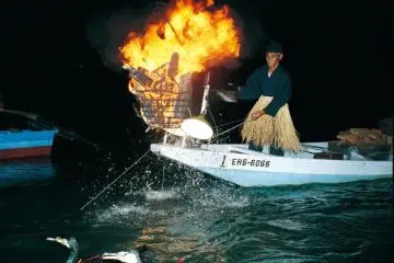 Cormorant fishing at night (Photo: Ehime Prefecture)