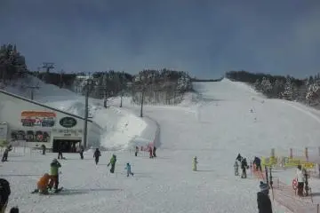 A bullet train then gondola ride gets you from the city to the snow in no time. Skiing, boarding, sledding or snowballs at the top.