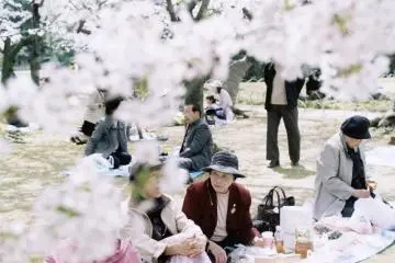 Photo: <a href="http://en.japantravel.com/okayama/hanami-at-korakuen-garden/4230" target="_blank" rel="noreferrer noopener nofollow">Hannah Booth  </a>