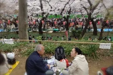 Photo: <a href="http://en.japantravel.com/tokyo/cherry-blossoms-at-ueno-park/10139" target="_blank" rel="noreferrer noopener nofollow">Jessica A Paje   </a>