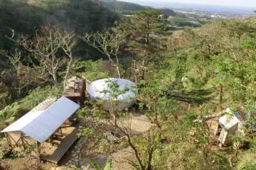 Aerial View from Treehouse (Photo: Yuki Takata)