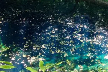 Aomori's Hypnotizing Lake