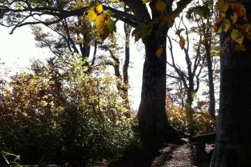 the end (or beginning!) of the trail