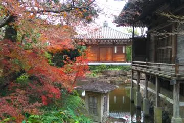 Temple of Aikido
