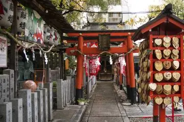 Gallery image