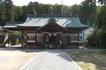 Gallery image