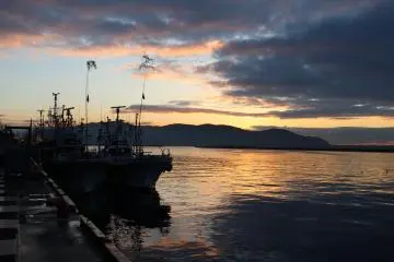 Ishinomaki Fish Market