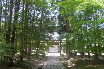Gallery image