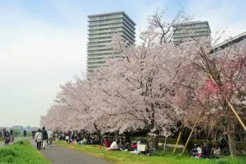 Photo: Ota City
