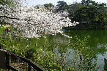 Senzoku-Ike