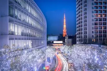 Guide To Roppongi, Tokyo 