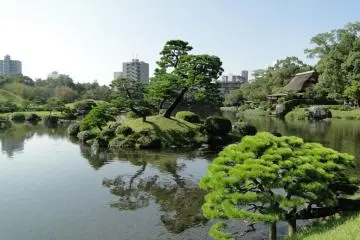 Kumamoto's Suizen-ji Garden