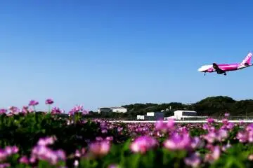 Fly Direct from Bangkok to Okinawa