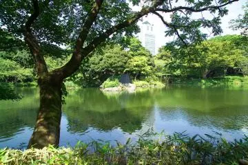 Guided Tours in Tokyo for Tourists