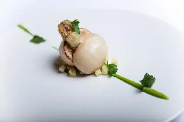 Impeccable Japanese-French Cuisine