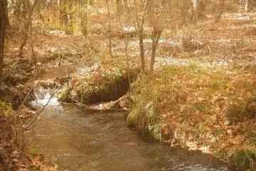 Peaceful surroundings (Photo: Leonora Sophie)