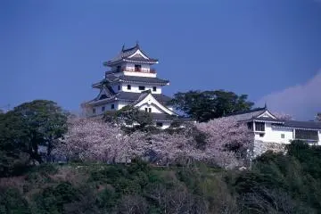 Saga Itinerary