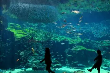 Umi-kirara Aquarium (Photo: Nagasaki Prefecture)