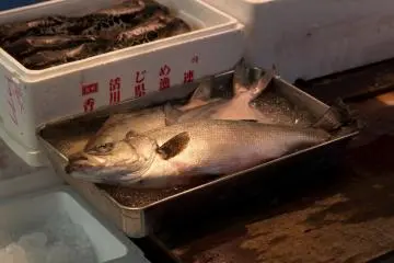 Delicious fresh fish everywhere (Photo: Stefan Bauer / JT)