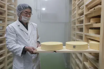 Photo: Savor Japan Gourmet Tour