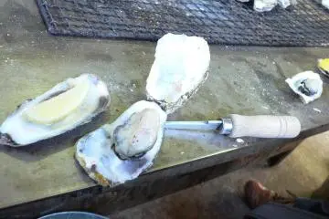 Kakiyaki Kamakura: Grilled Oysters
