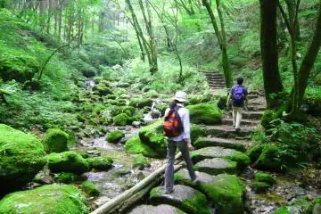 Rock garden (Photo: Association of Ome-city sightseeing)