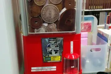 Gallery image
