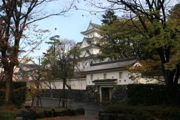 Gallery image