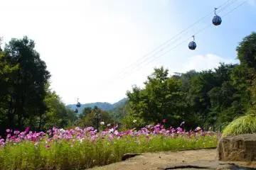 Shin-Kobe Ropeway