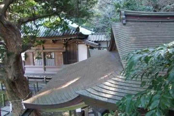 Gallery image