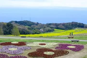 Hanasajiki in Spring
